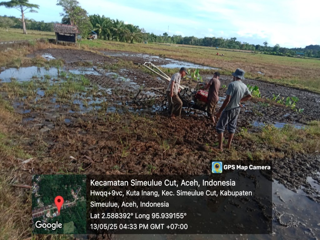 Pembajakan sawah Desa Kuta Inang